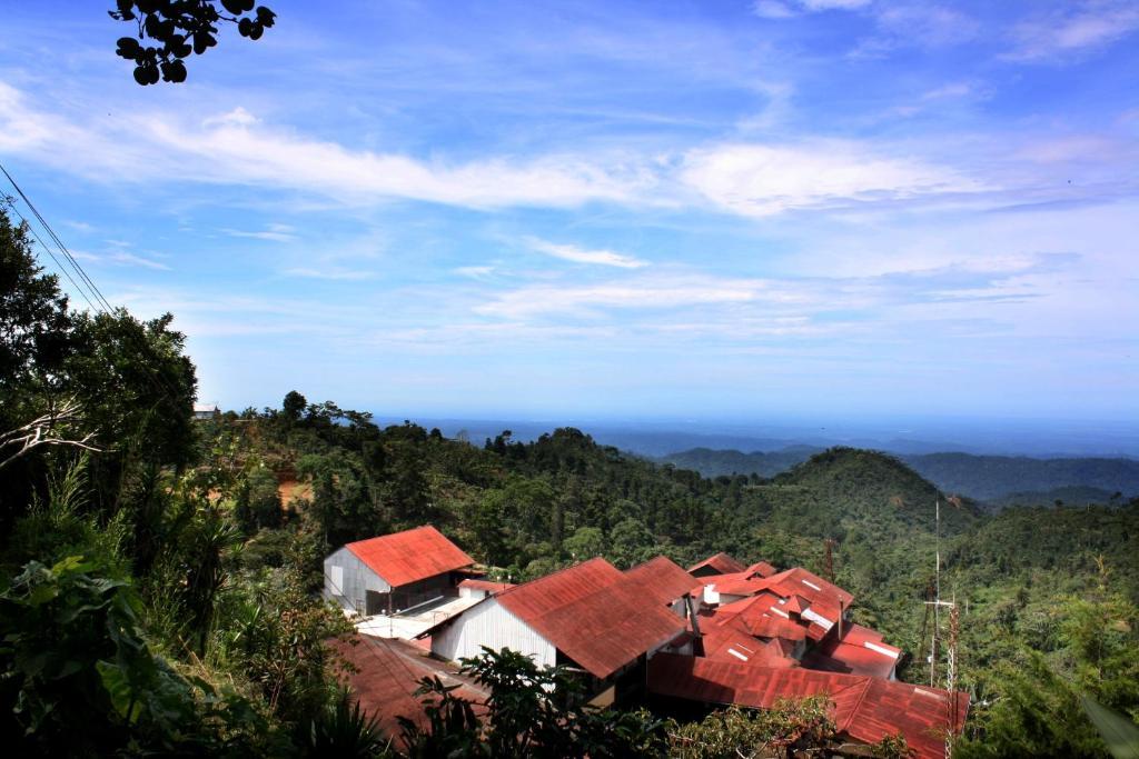 Finca Hamburgo La Ruta Del Cafe Tuzantan Eksteriør bilde